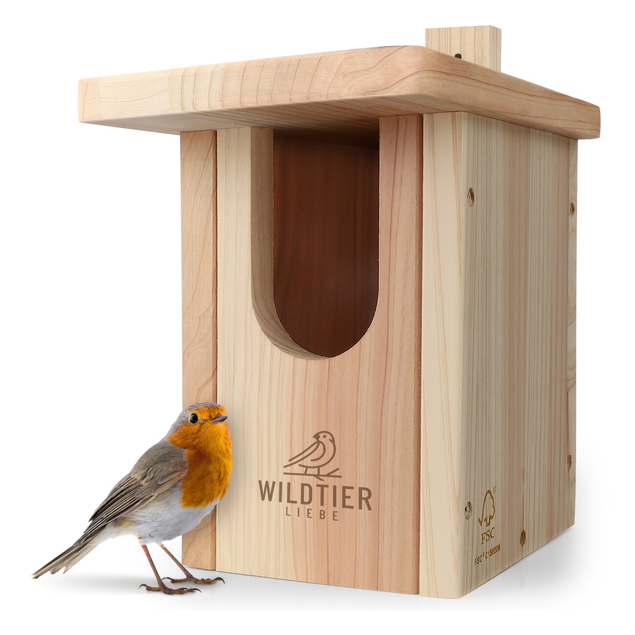 wildtier liebe Rotkehlchen Nistkasten