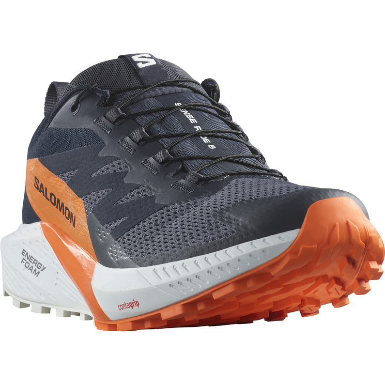 Salomon Herren Sense Ride 5 GTX Schuhe
