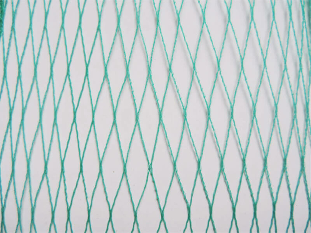 Filet anti-oiseaux - maille de 25mm - grande dimension vert 12m x 100m