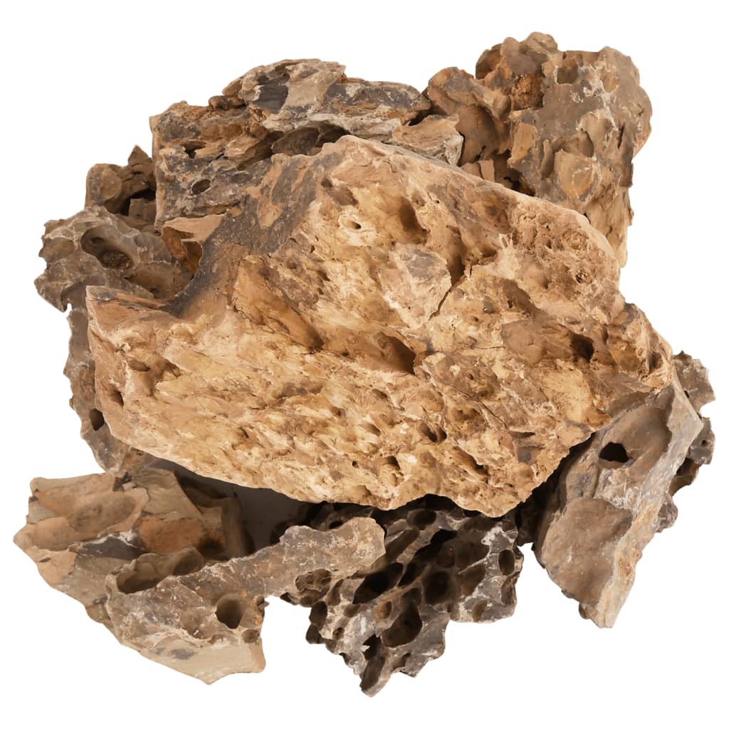 vidaXL Pedras de Dragão Marrom 10 kg 5-30 cm