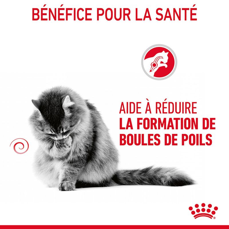 Royal Canin Hairball Care en sauce