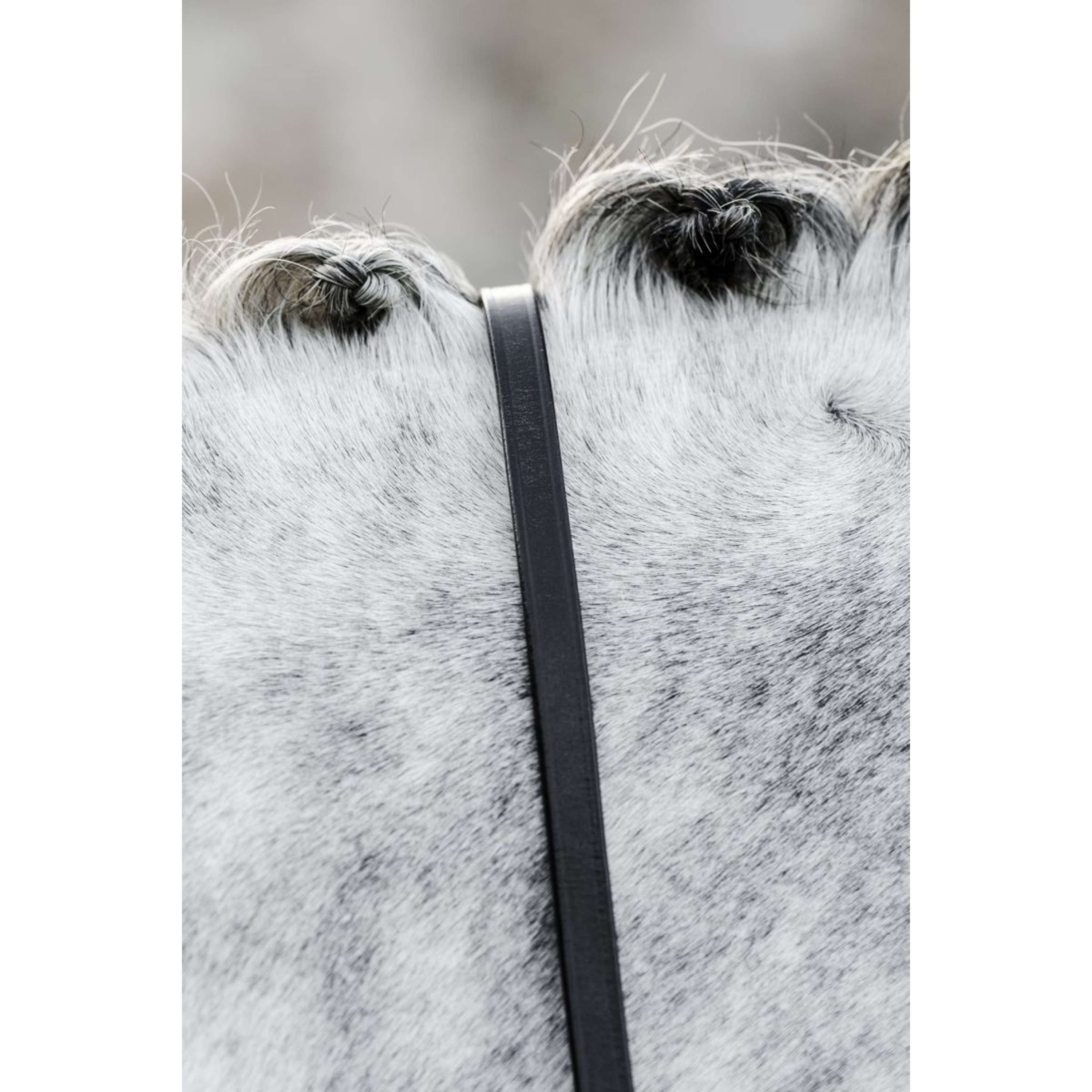 Horseware Teugels Zwart