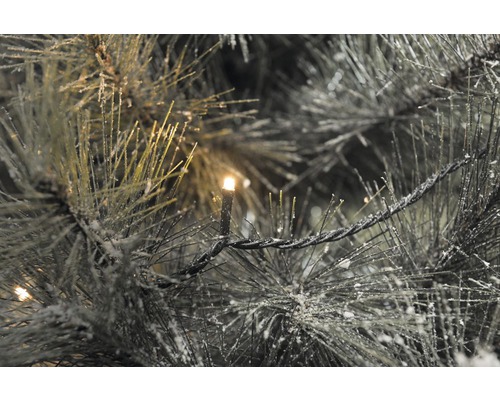 Konstsmide Micro LED-lichtsnoer, 3,04 m + 10 m aansluitdraad, 20 LED's, amberkleur
