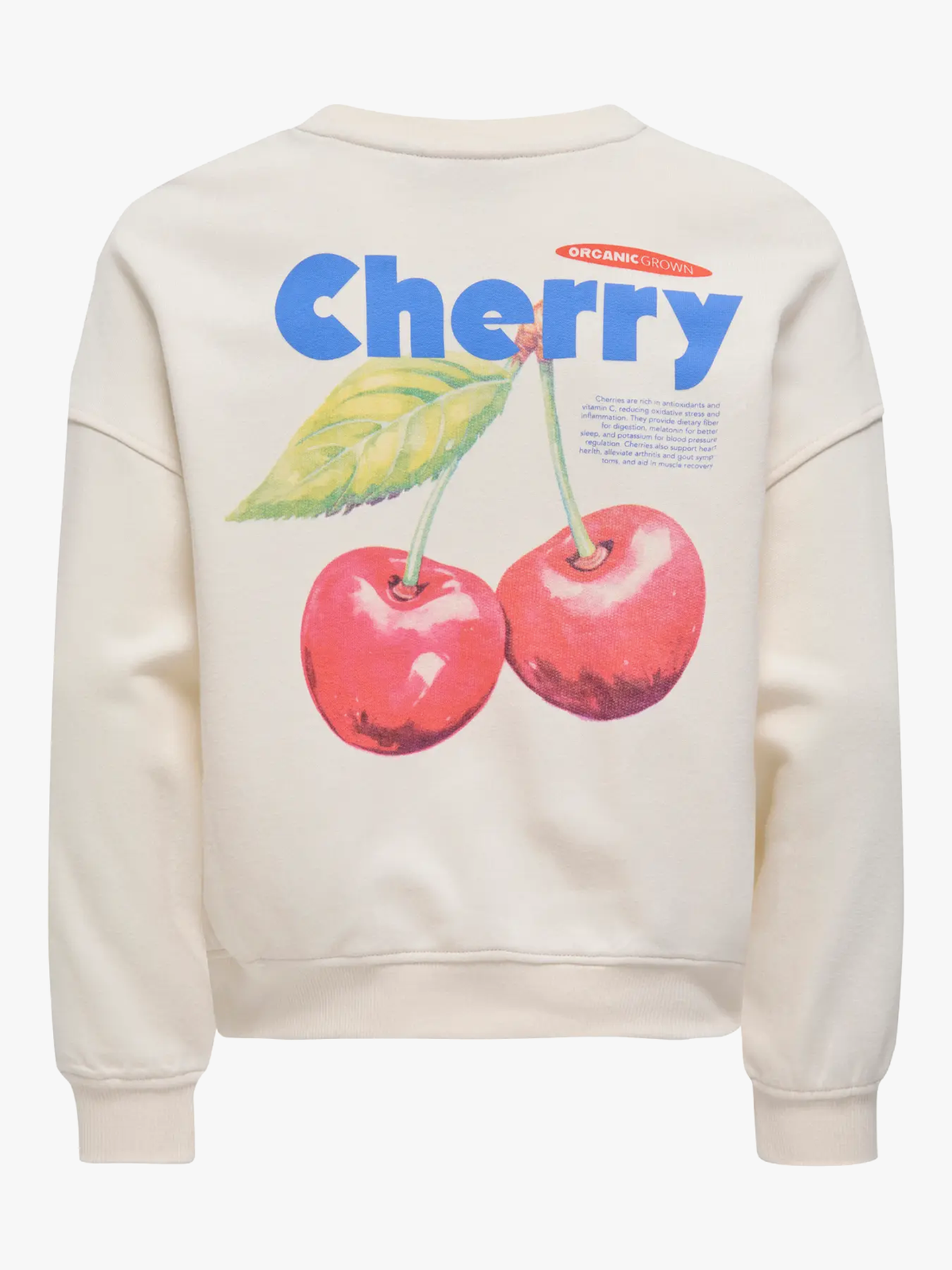 Philea Life Long Sleeve Ovzfruit Oneck Ubrushed Sweat