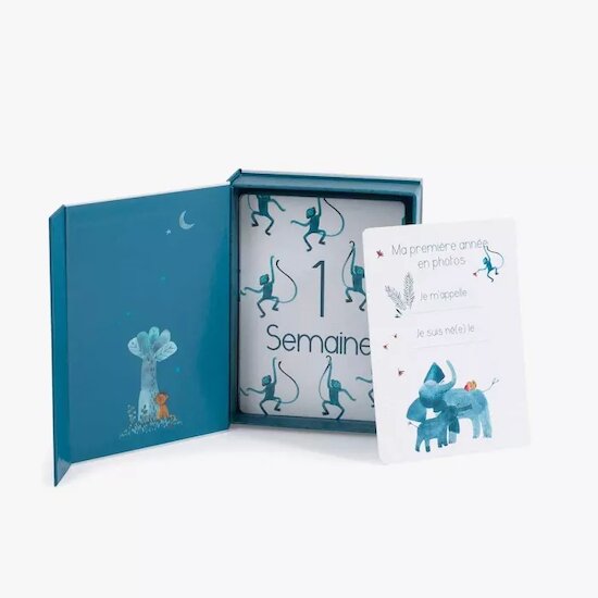 Sous mon Baobab Cartes Mes 12 premiers mois   de               Moulin Roty