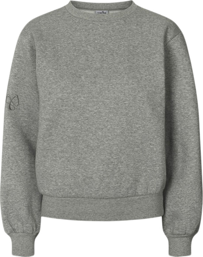 Carite Round Neck sweatshirt Grå