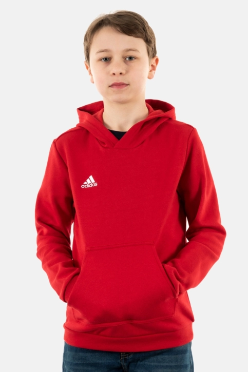sweat adidas originals ent22 tepore