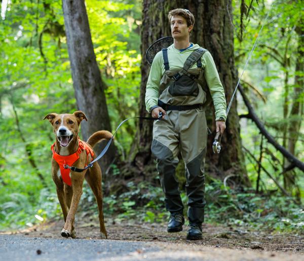RUFFWEAR® Hundegeschirr Web Master™