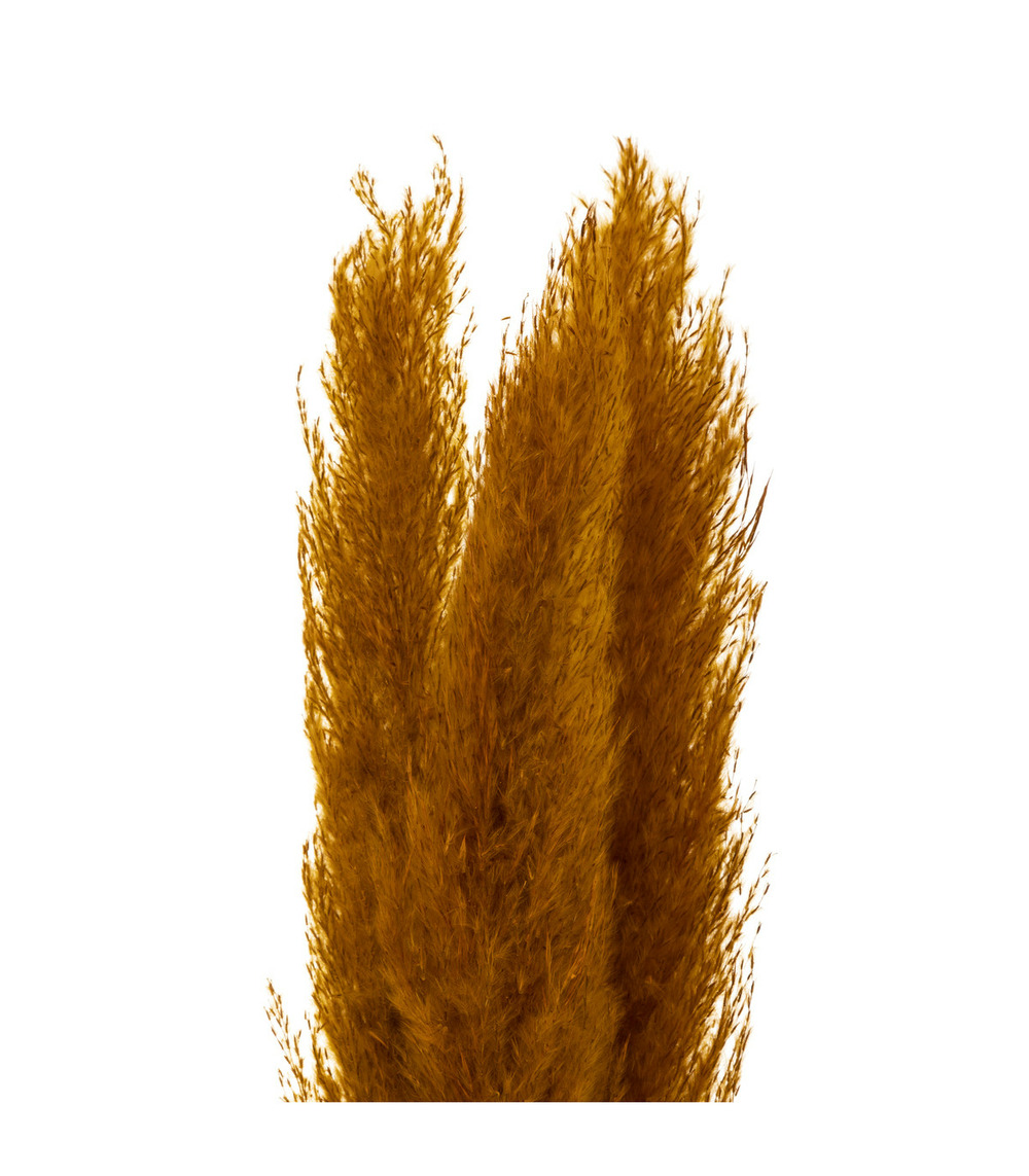 Set de 3 branches de pampa séchée ocre h 109 cm
