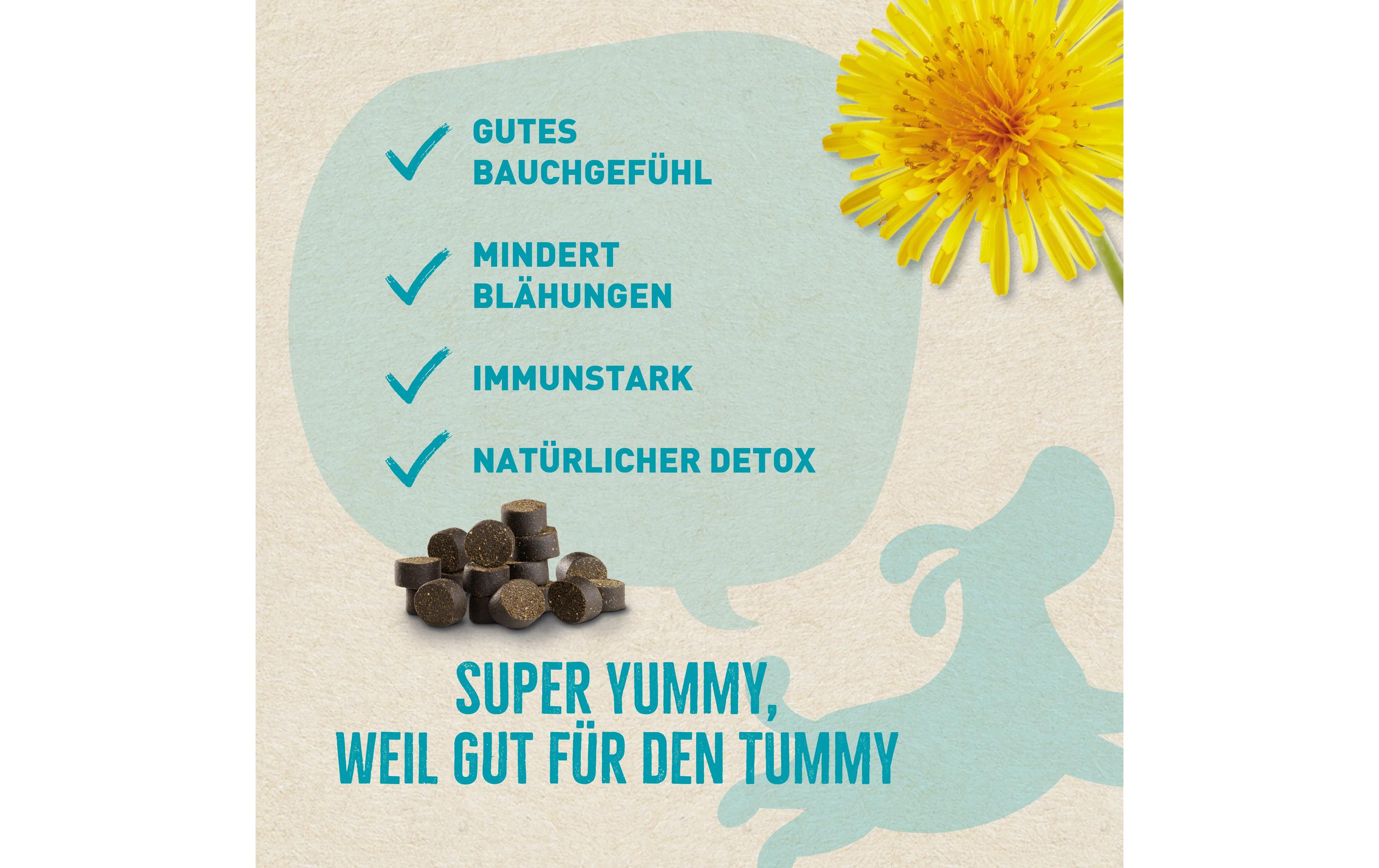 Leckerli 2-in-1 Snack Belly 300 gErgänzungsfuttermittel für ausgewachsene Hunde