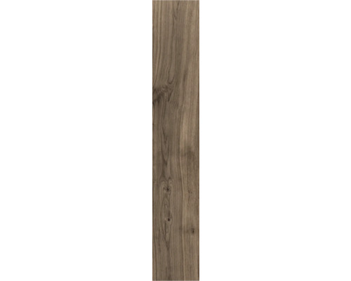 Porseleinen steengoed wand- en vloertegel Oliver Braun 20 x 119,5 x 1 cm mat gerectificeerd