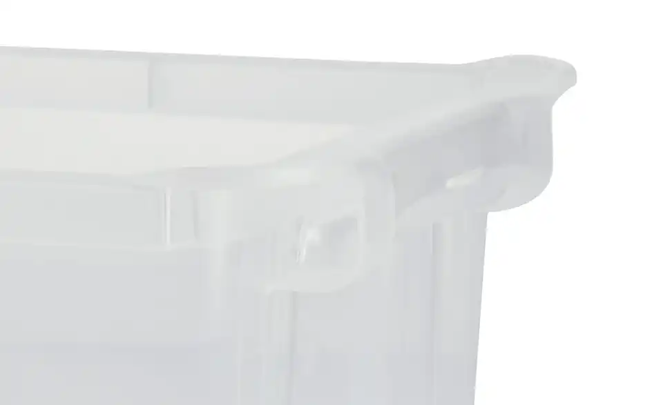 Rotho Aufbewahrungsbox 12,8 cm