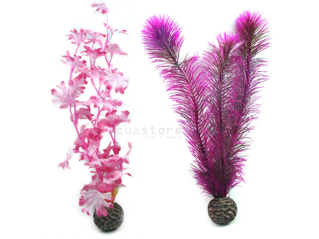 biOrb Pink Kelp large