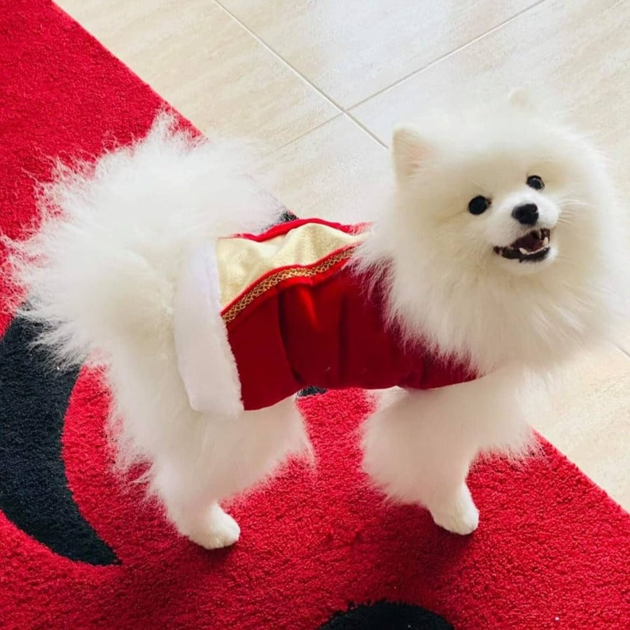 Ideal Pets, Casaco para Cães 