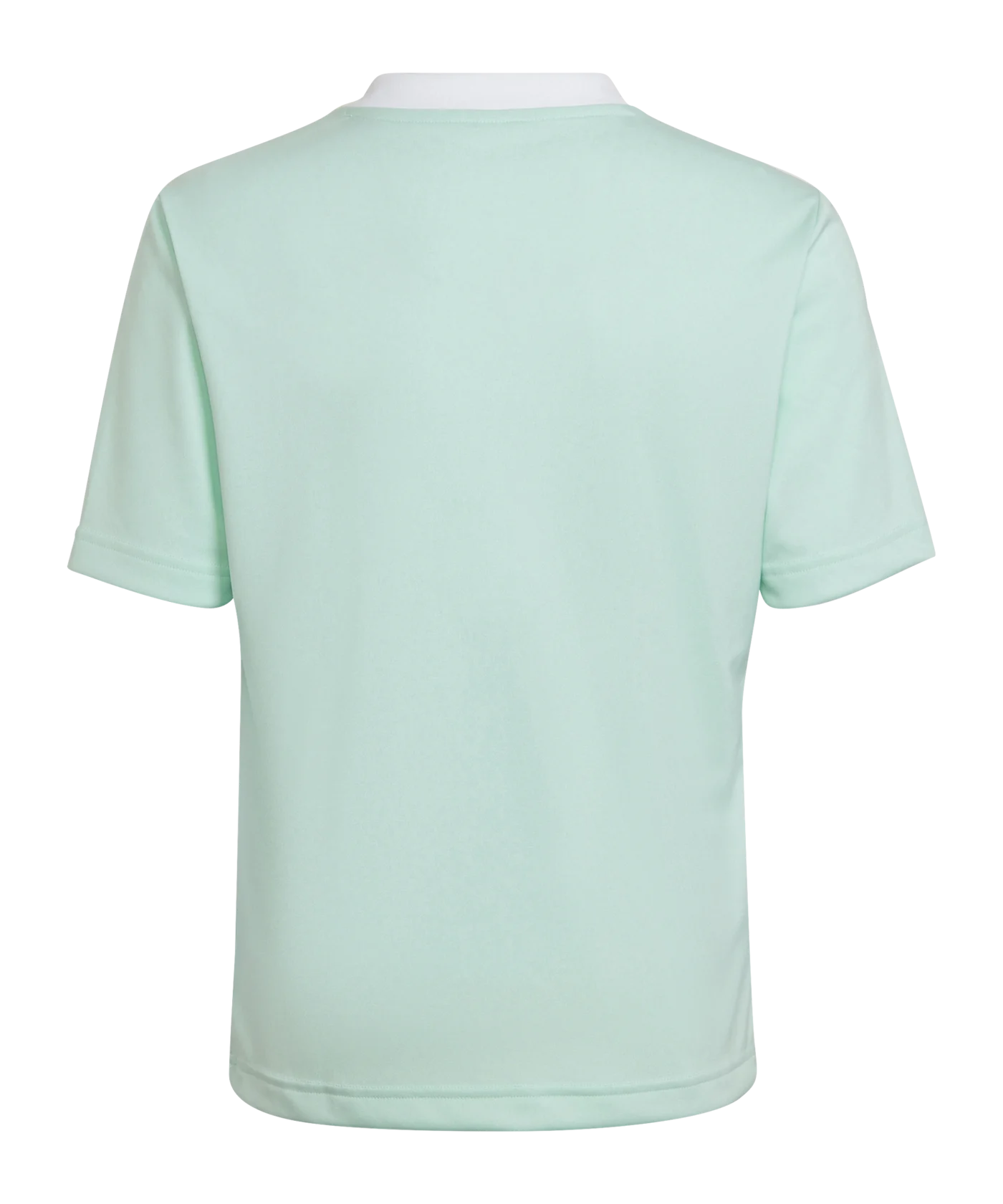 adidas Entrada 22 Trikot Kids Türkis Weiss