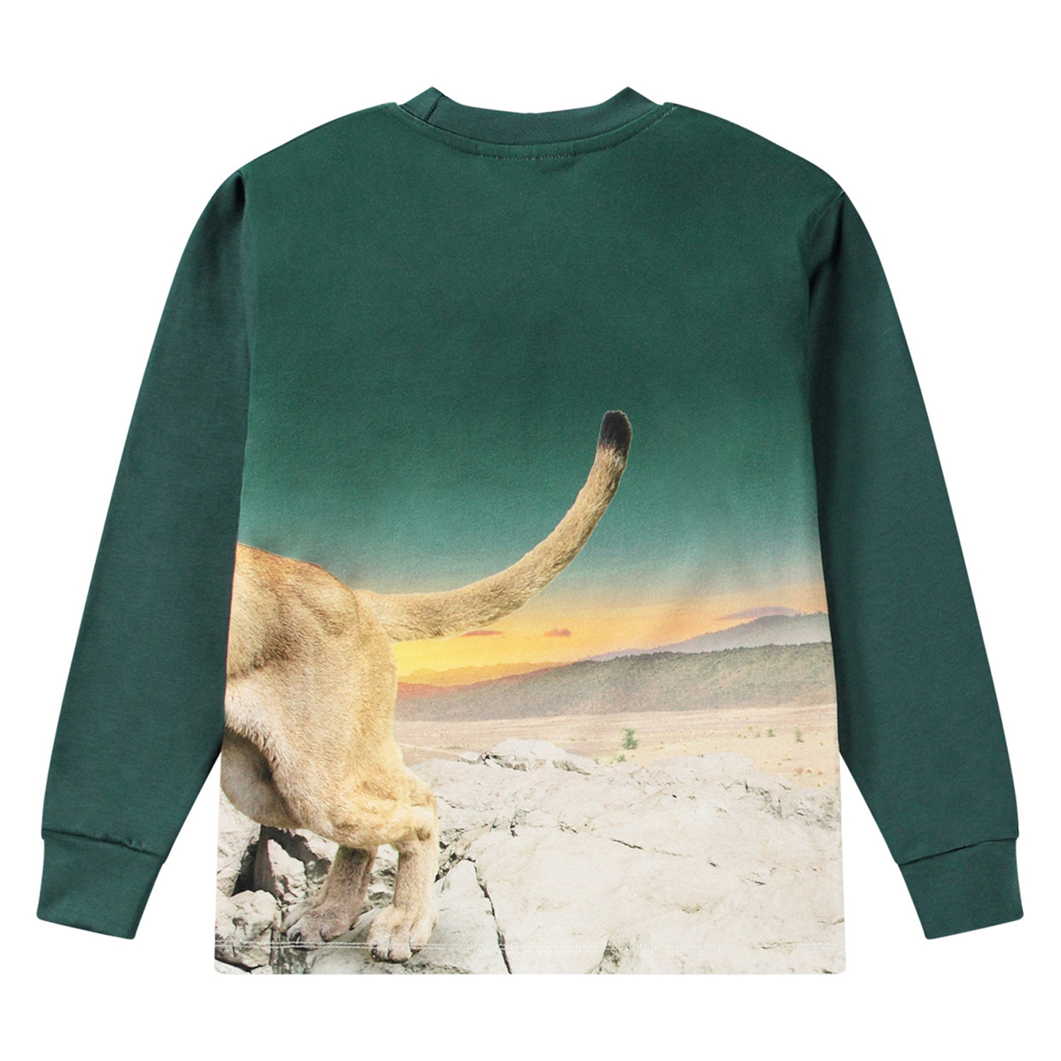 Rexton - Puma Green