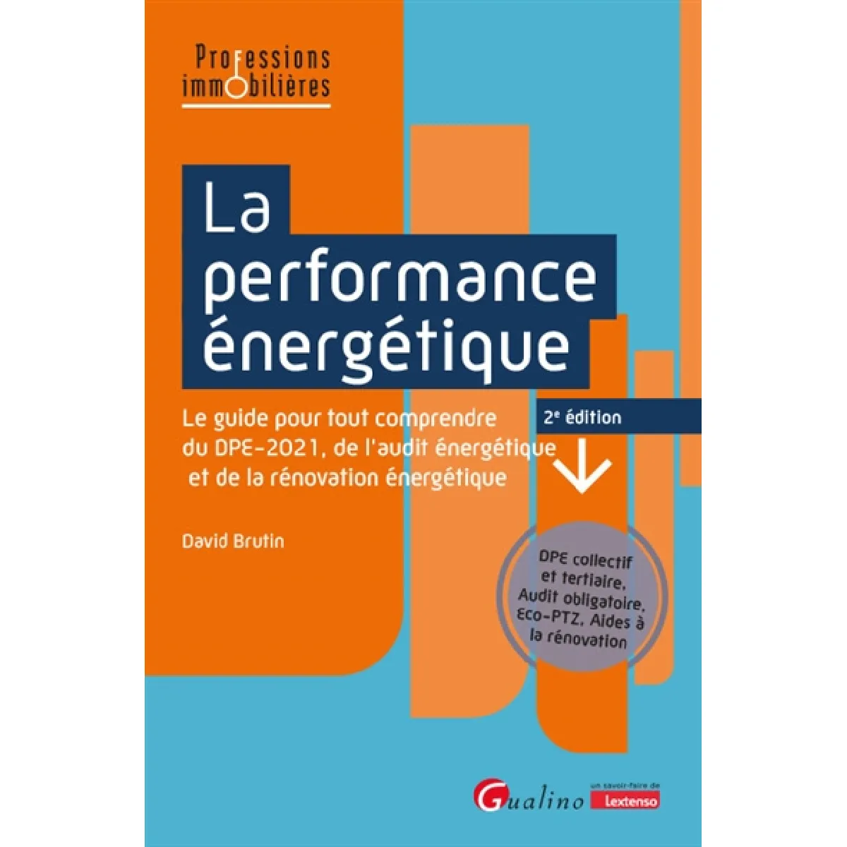 La performance énergétique : le guide pour tout comprendre du DPE-2021, de l'audit énergétique et de la rénovation énergétique : DPE collectif et tertiaire, audit obligatoire, Eco-PTZ, aides à la rénovation · Occasion