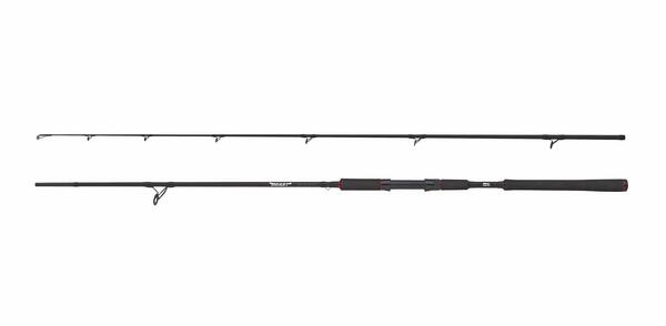Canne Spinning Abu Garcia Beast Pike