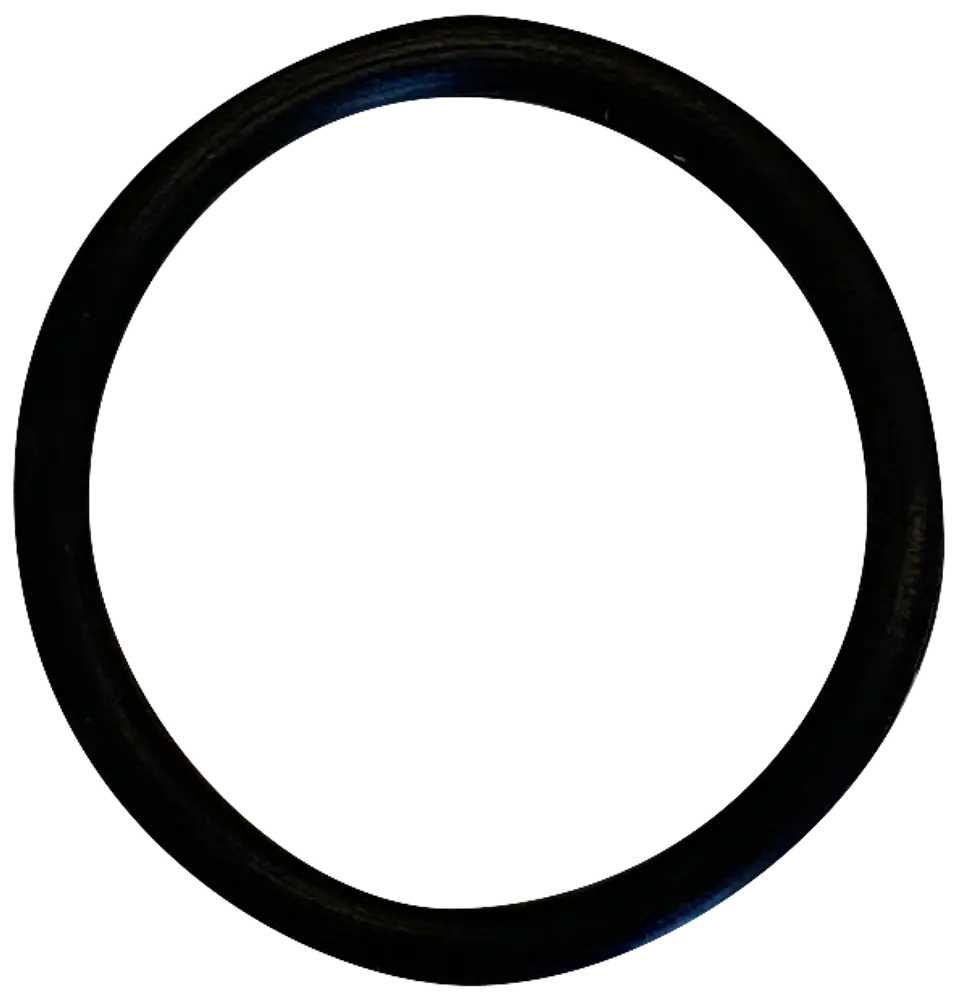 Avenli O-ring til spapumpe