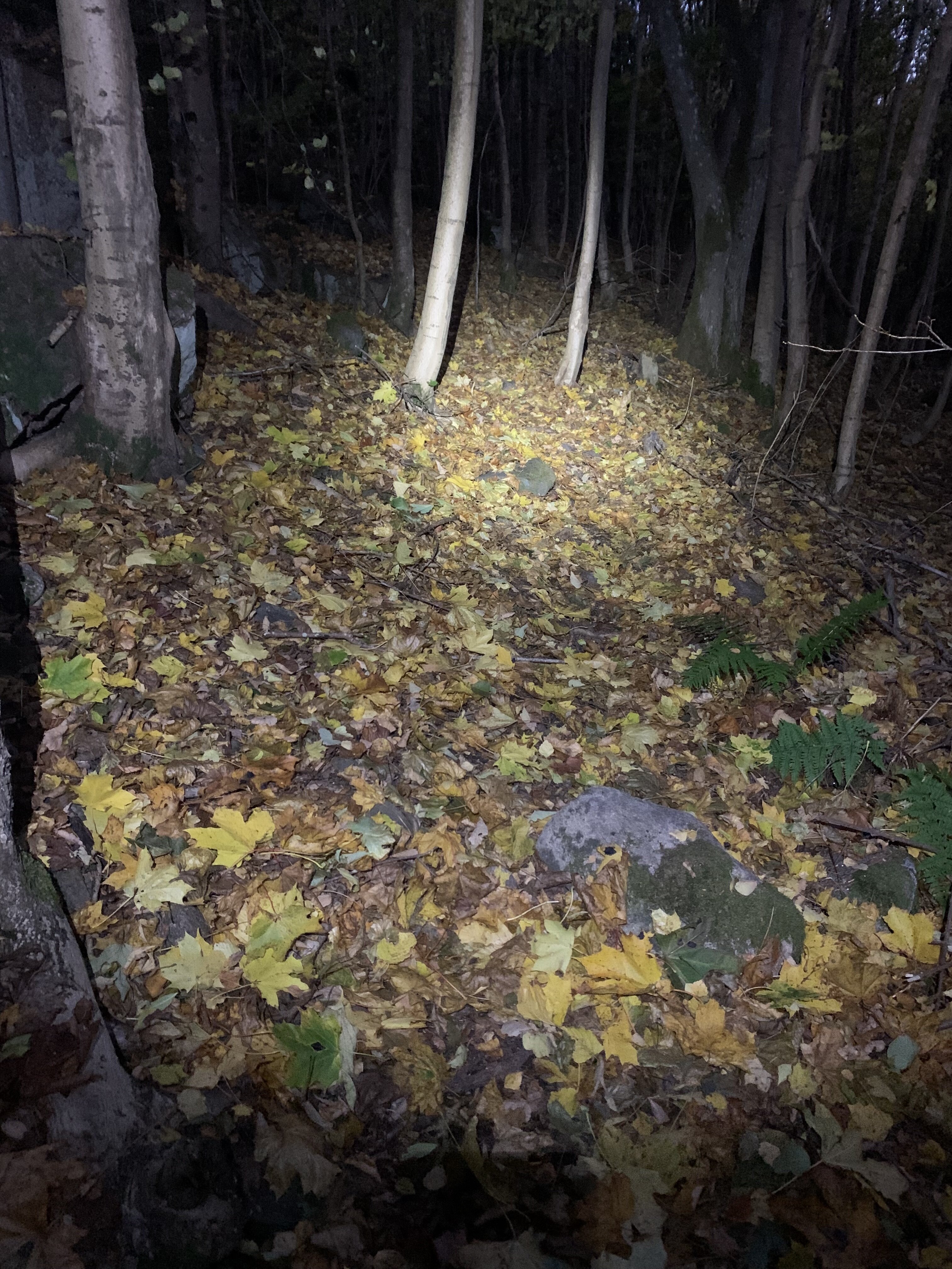 North Trail Fast Hodelykt<br>1000 Lumens