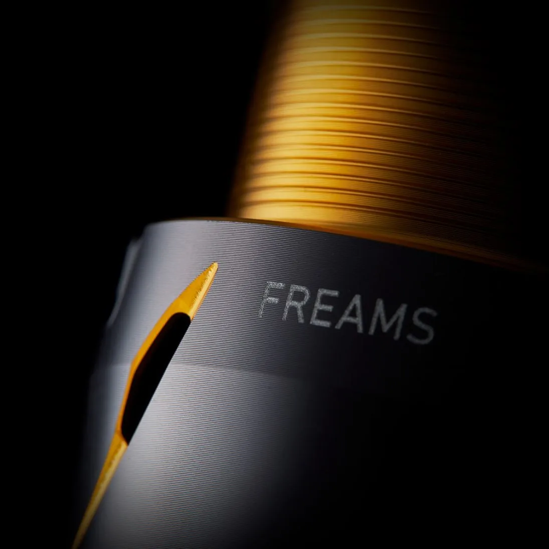Daiwa Freams LT