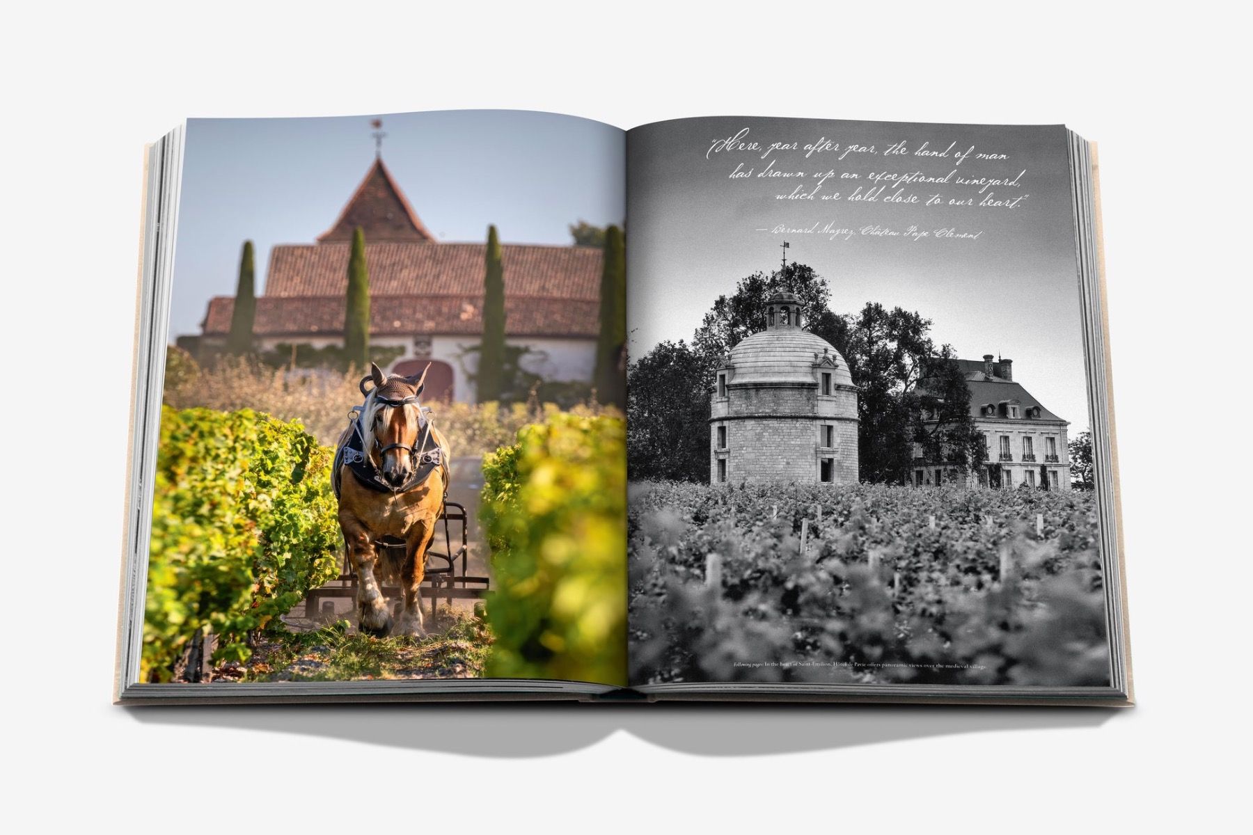 Assouline WINE & TRAVEL FRANCE