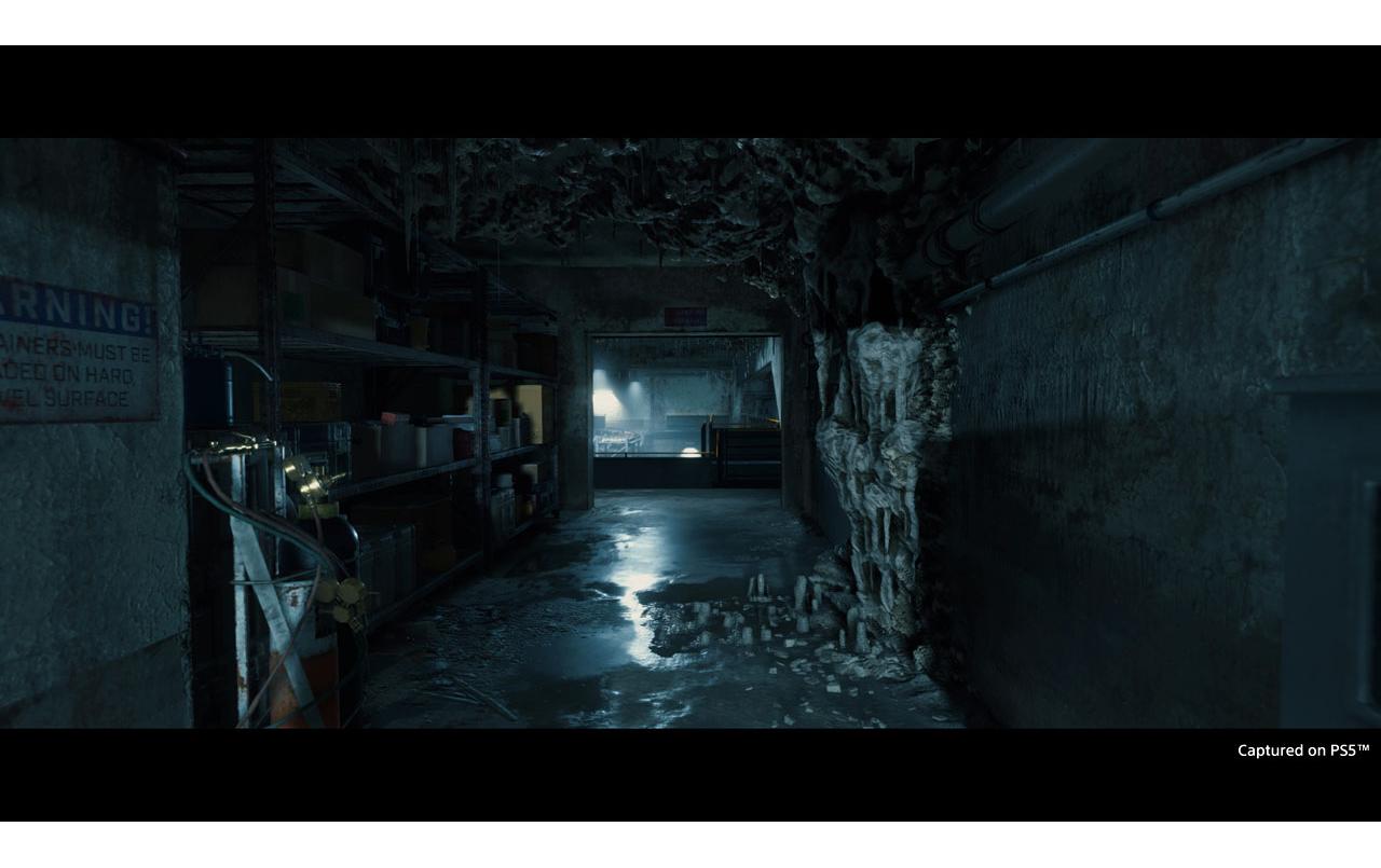 Death Stranding Director`s CutDeath Stranding Director`s Cut