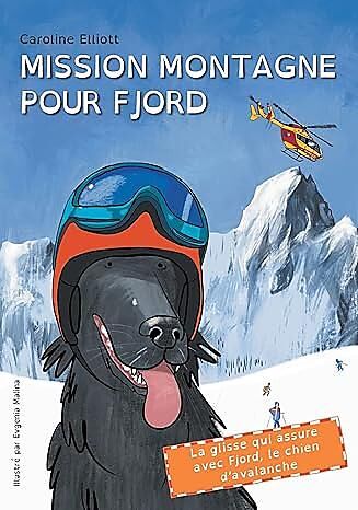 MISSION MONTAGNE POUR FJORD