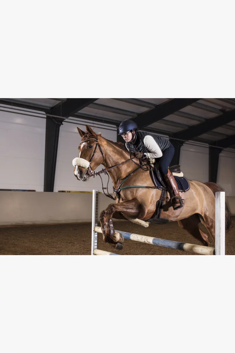 Polar Equine H10 Reitsport Herzfrequenzmesser