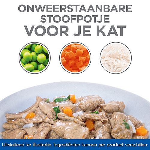 Hill's Science Plan Healthy Cuisine Adult Kattenvoer Stoofpotje Kip Zalm 12 x 80 gram | 12602