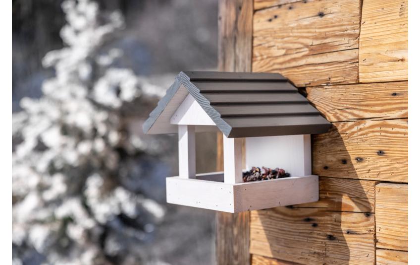 Vogelhaus FeldbergSchönes Vogelhaus für hungrige Besucher