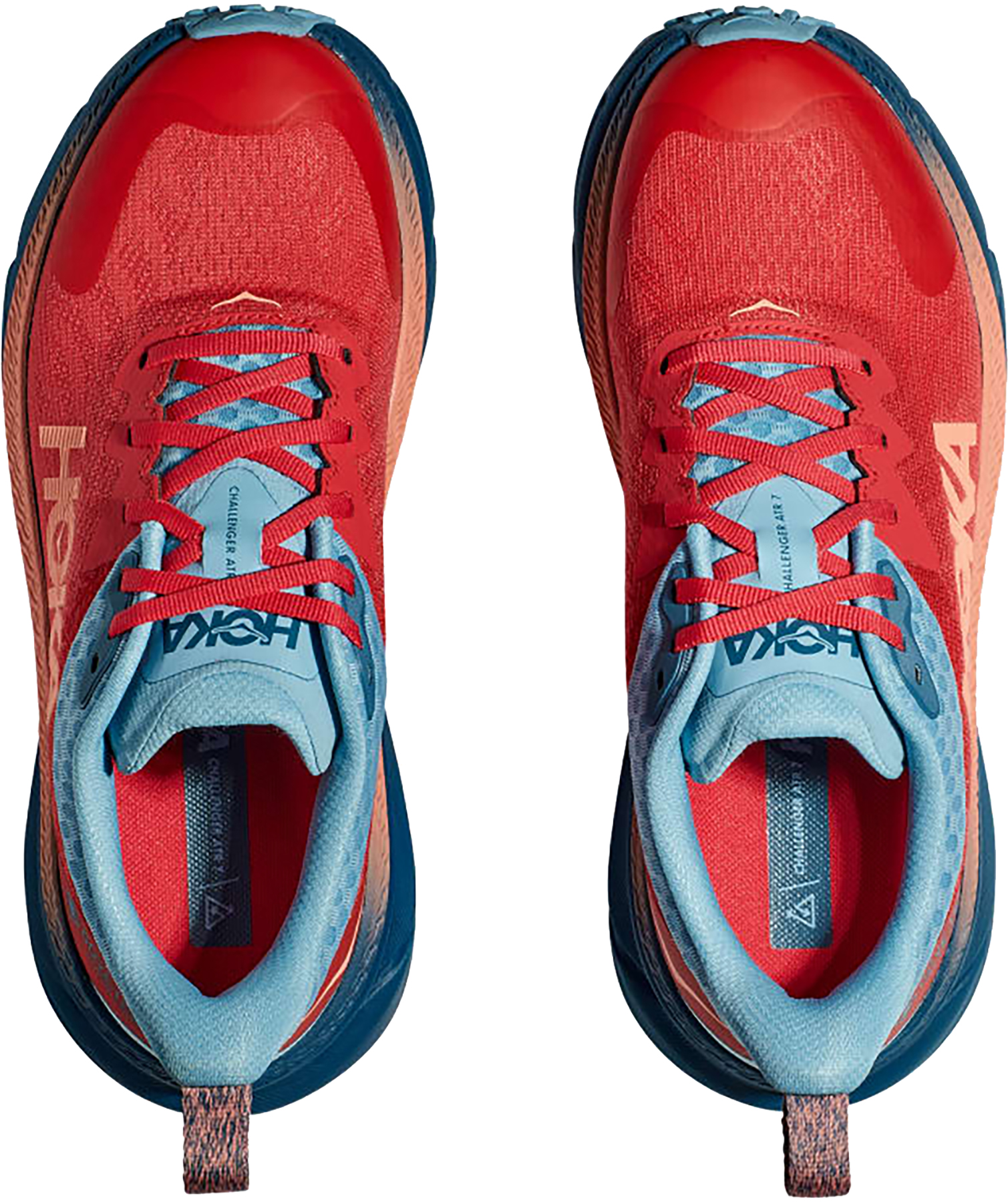 Challenger 7 GTX Dame CRSR/Cerise/Real Teal