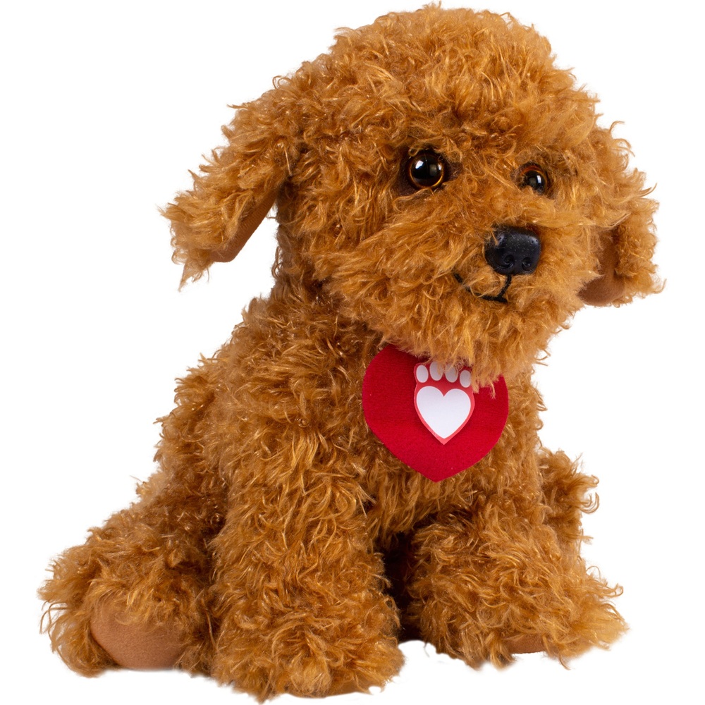 Waffle, der Wunderhund
