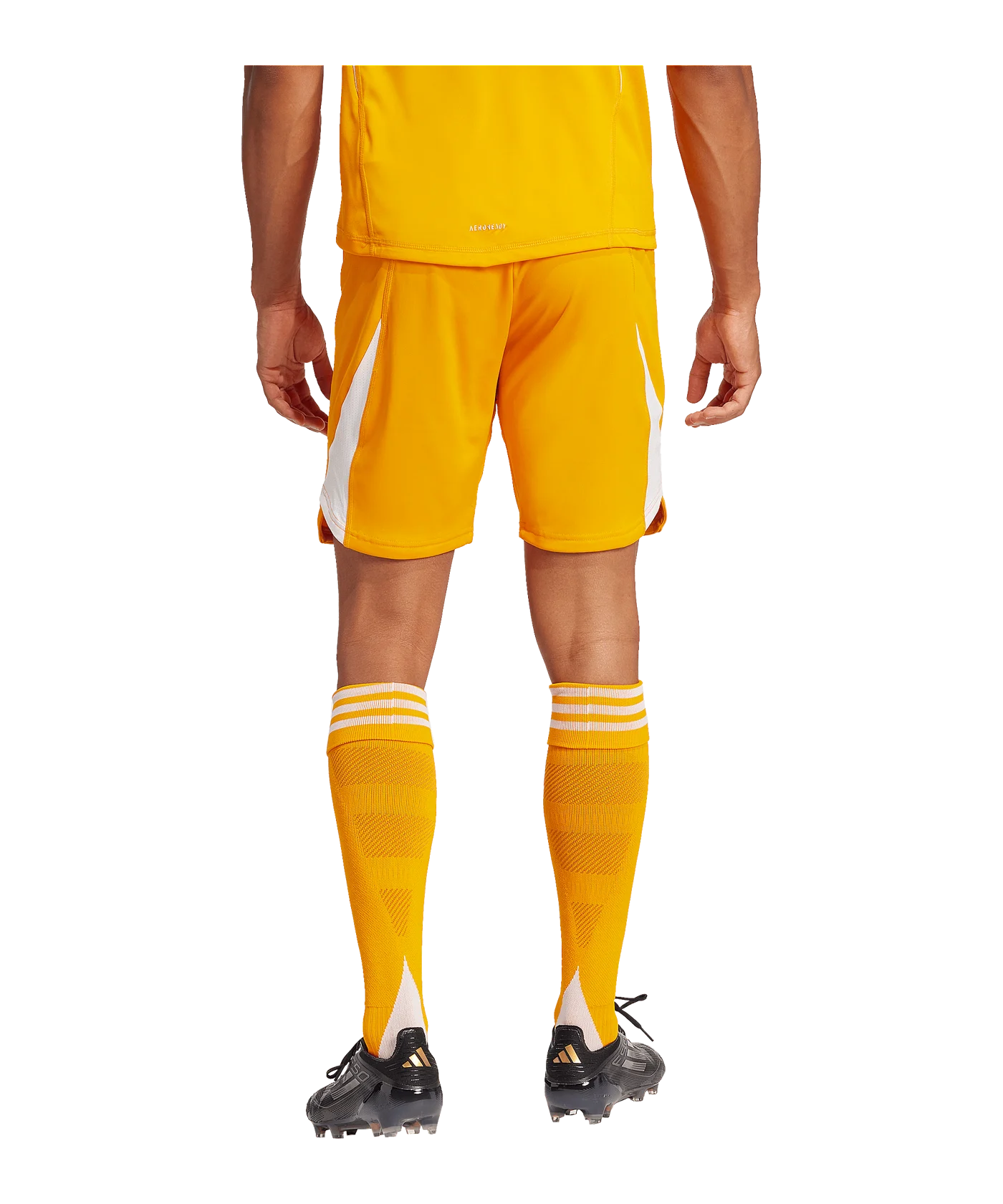adidas Tiro 25 Pro Torwartshort Orange