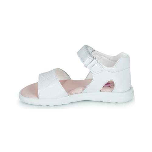 Pablosky - TAVID - Blanc