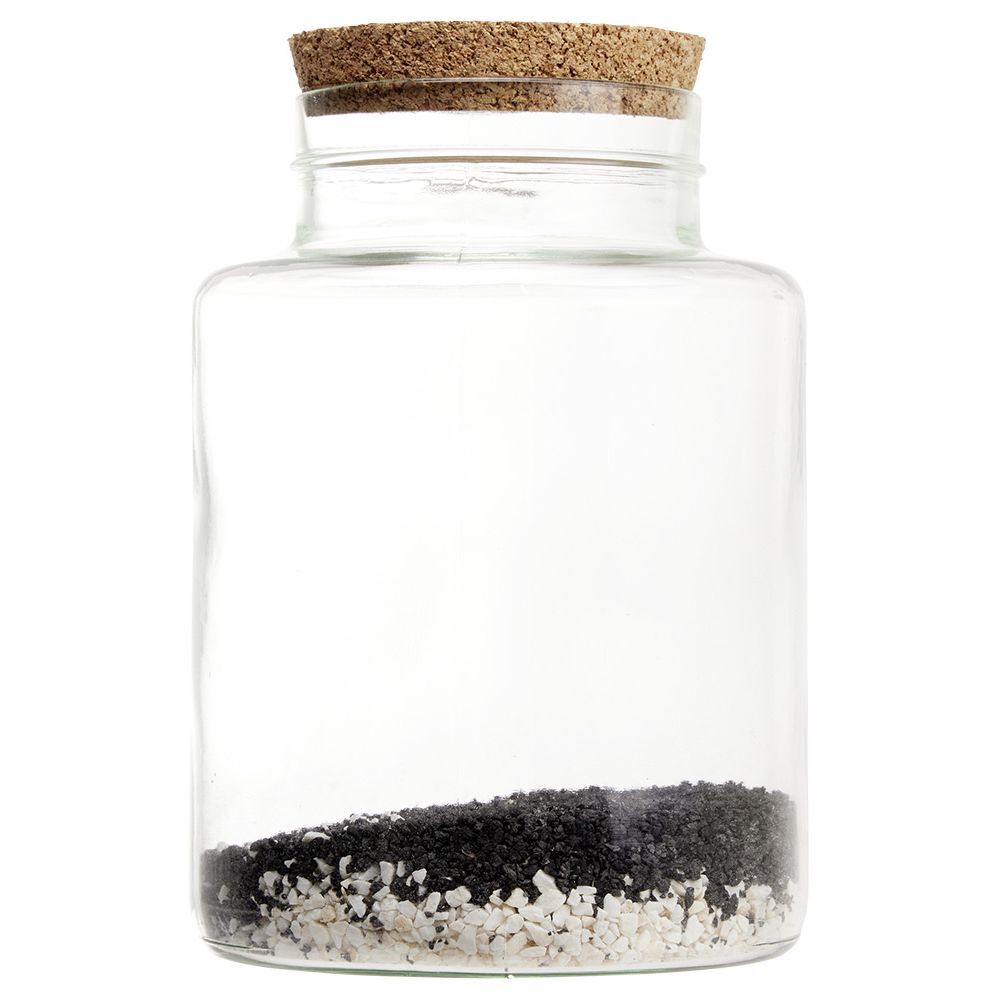 Kit terrarium bocal déco
