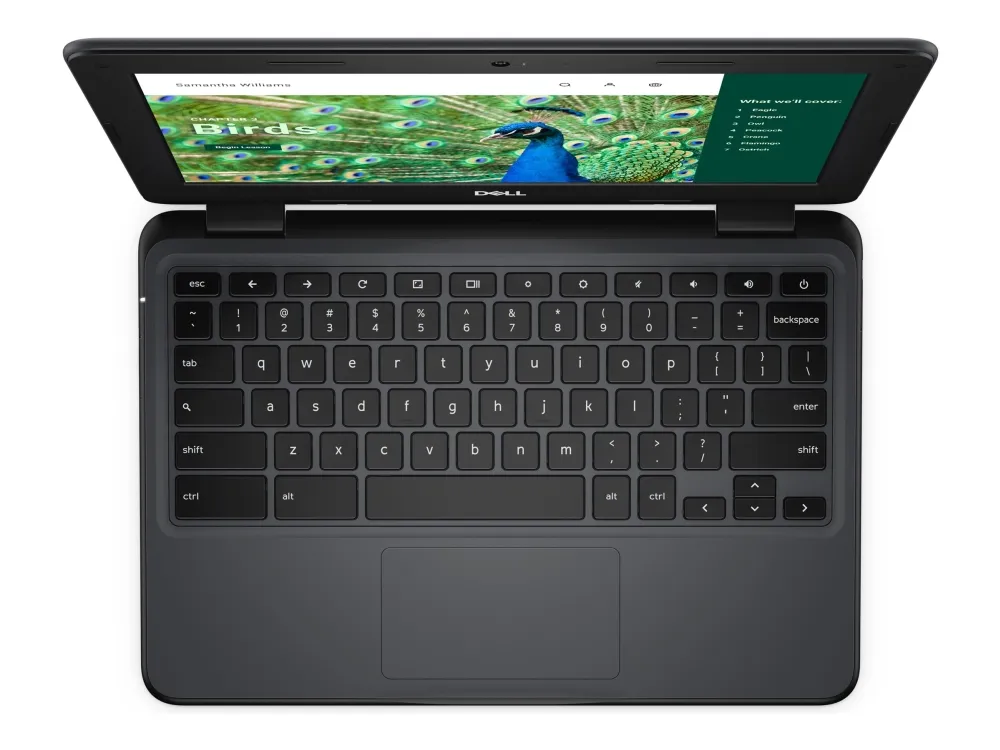 Dell Chromebook 3120 (2024) - Intel N-series - N100 / op til 3.4 GHz - Chrome OS - UHD Graphics - 4 GB RAM - 64 GB eMMC - 11.6