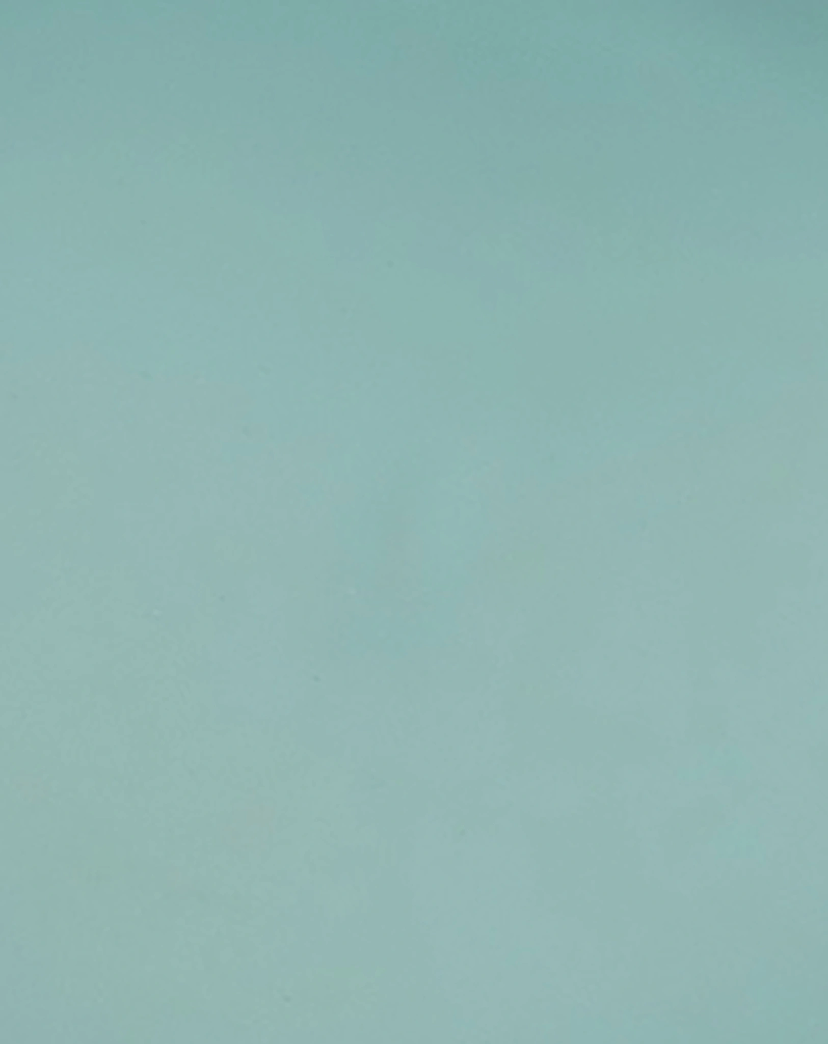 Geschirr-Set PEEKABOO - DEER FRIENDS 3-teilig in blau