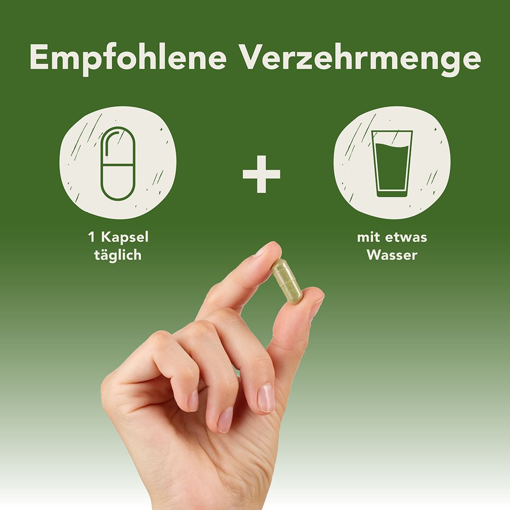 Fermentura® Ginkgo Duo