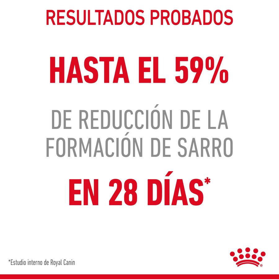 Ração oral Royal Canin Adult para gatos