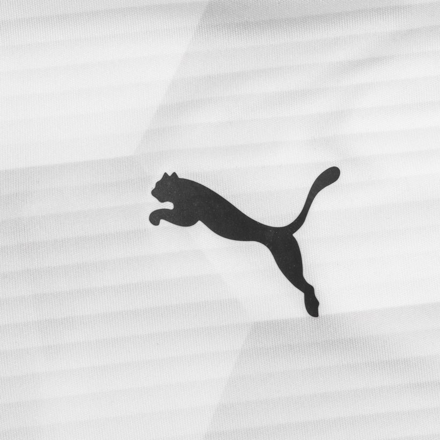 PUMA Maillot teamFINAL 21 Graphic - Blanc/Gris