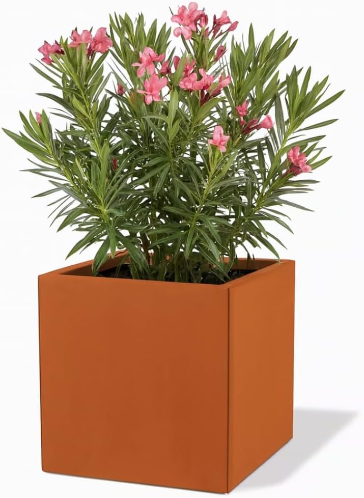 Czaja Cortenstahl Pflanzkübel 50x50x50 cm Fiorella mit Bodenplatte - Made in Germany - Rost Deko Blumenkübel quadratisch – wetterfest & langlebig – Garten Terrasse Balkon – Edelrost Pflanzgefäß