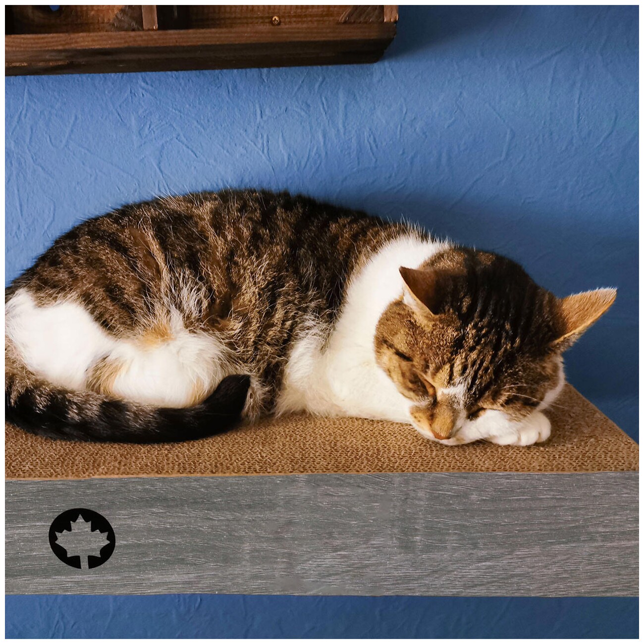 Canadian Cat Company 3er Set Kratzbrett Cloud für die Wand dunkelgrau