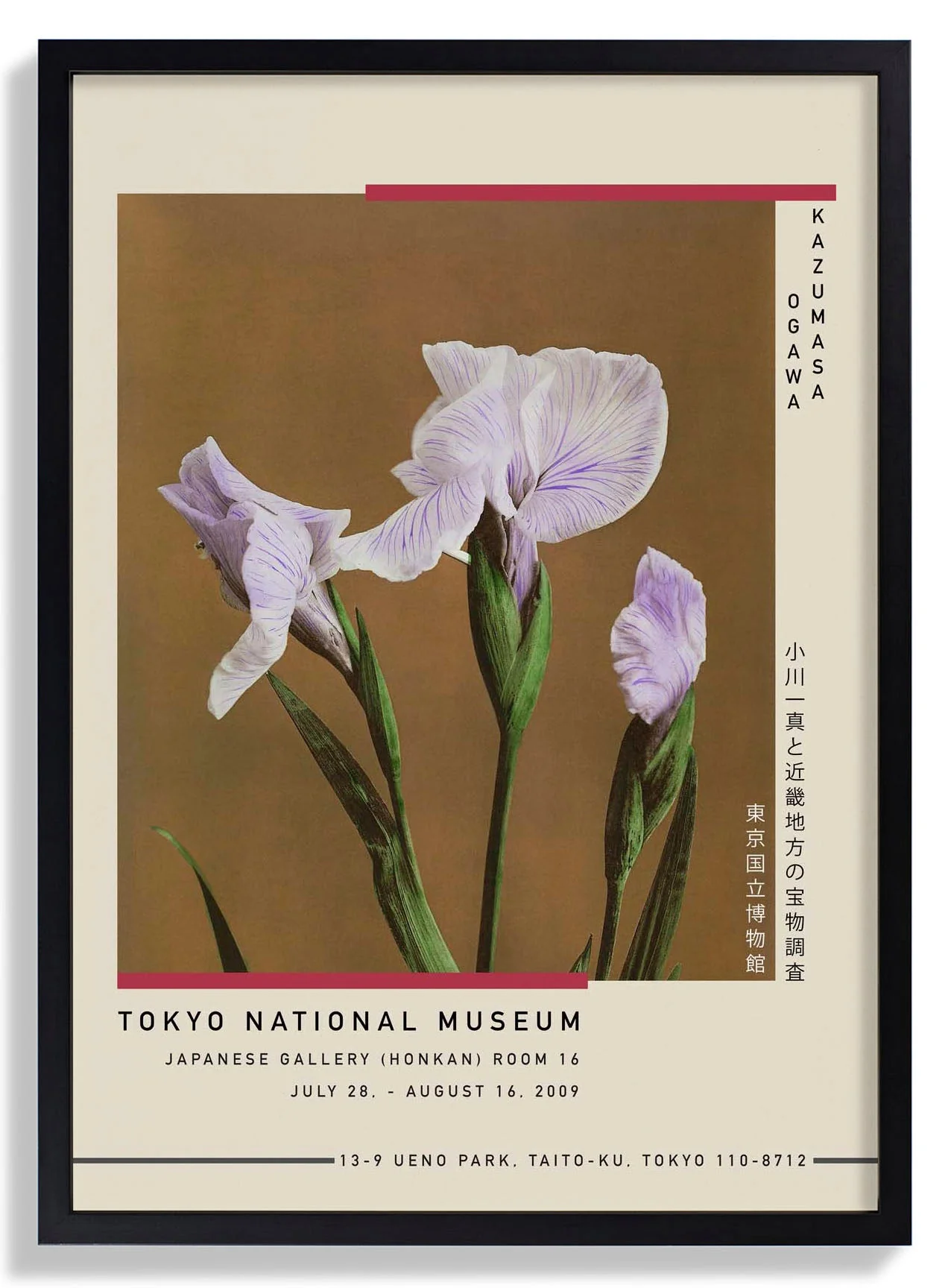 Drei Iris Kæmpferi von Kazumasa Ausstellung