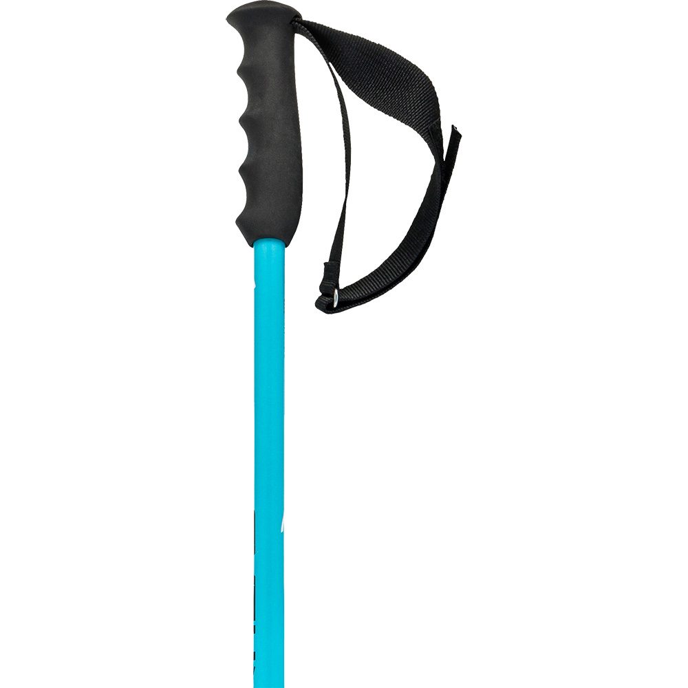 Head Worldcup SL Alpin Skistöcke speed blue