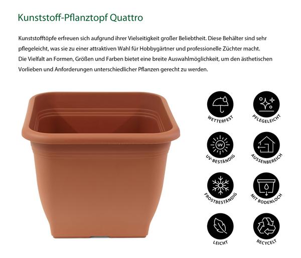 Dehner Kunststoff-Pflanztopf Quattro, eckig