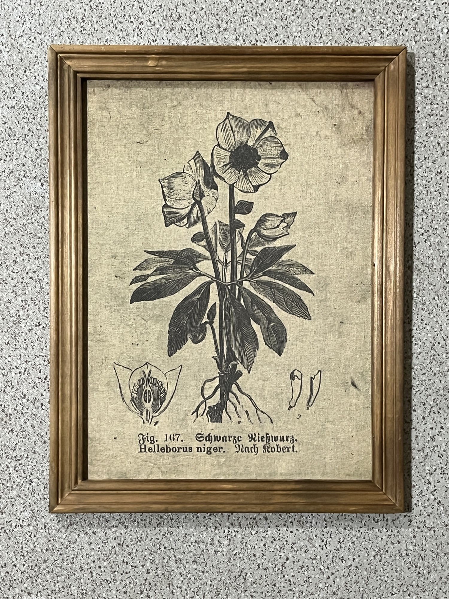 Wandbild 'Fleur dorée', vintage, gold, H 43 cm, B 33 cm von fischer's lagerhaus