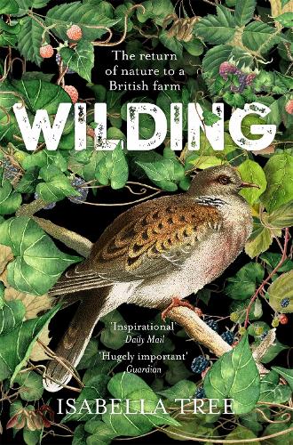 Wilding: The Return of Nature to a British Farm (Paperback)
