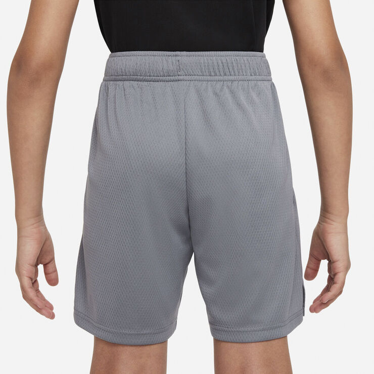 Nike Dri Fit Traeningsshorts Grå
