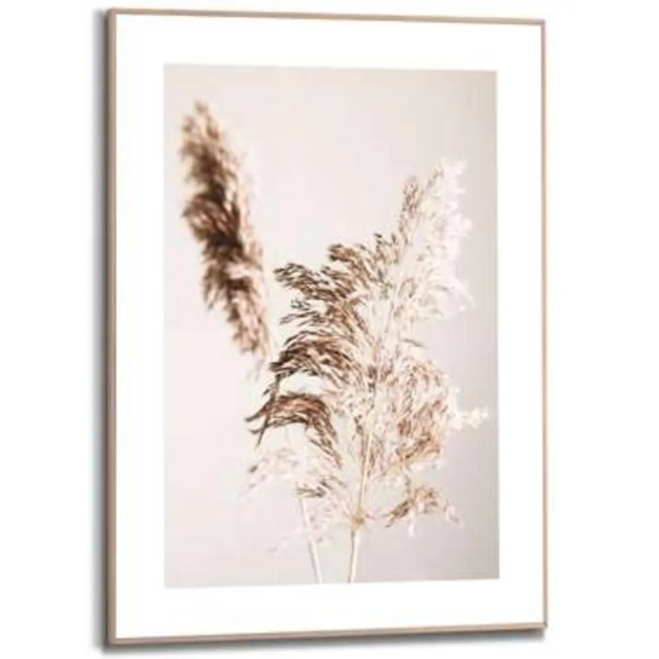 Schilderij Pampasgras - 70x50cm - Beige